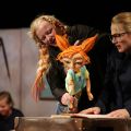 pippi 5