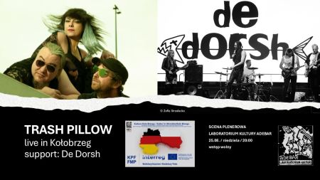 Trash Pillow / Kultura Koło Brzegu