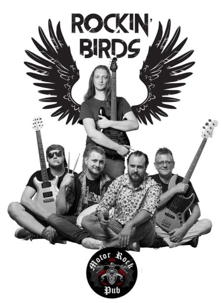 Rockin`Birds